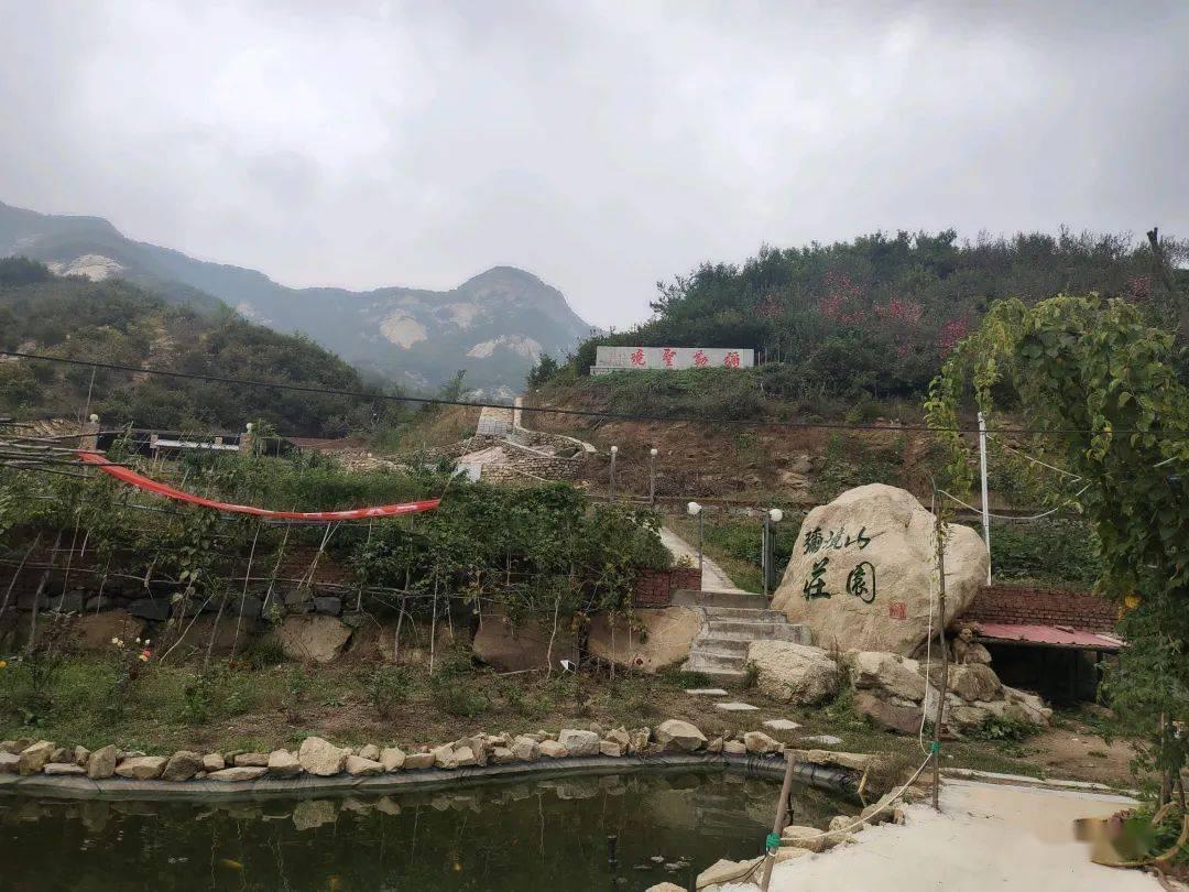 脑洞小老弟无实名认证