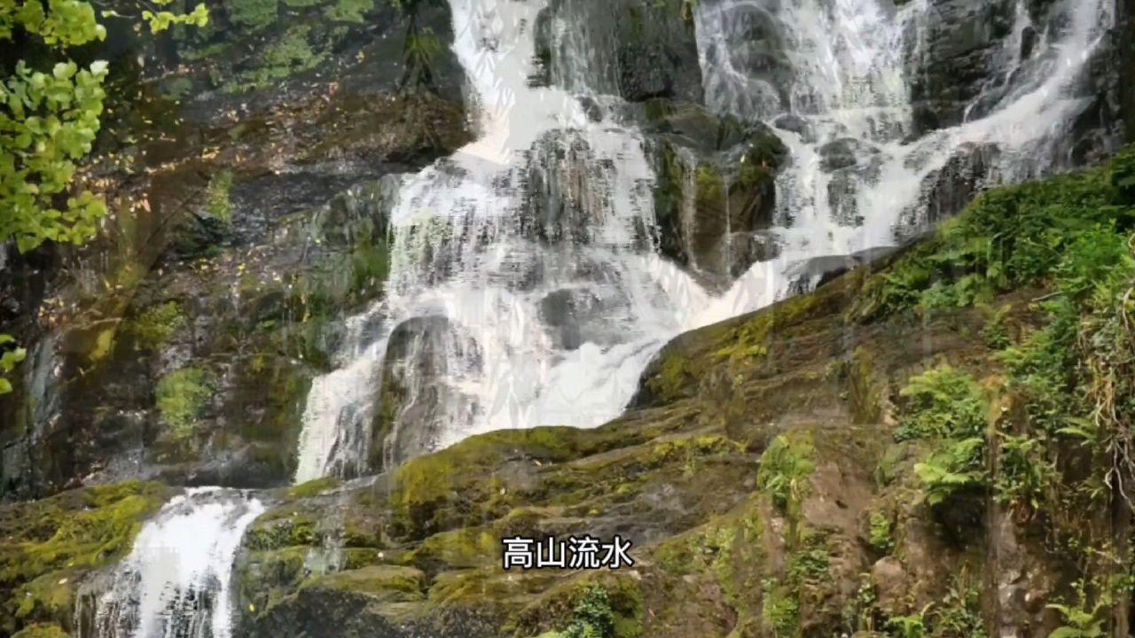 脑洞小老弟无实名认证